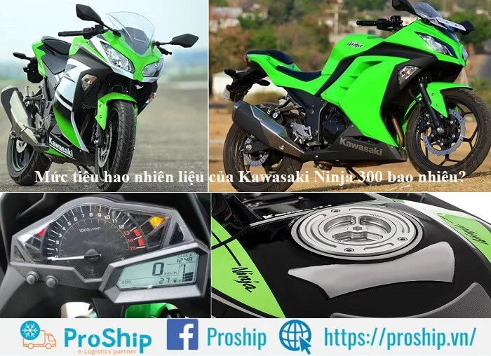 What is the fuel consumption of the Ninja 300? Does it cost fuel?