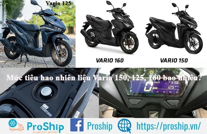 What is the fuel consumption of vario 150, 125, 160?