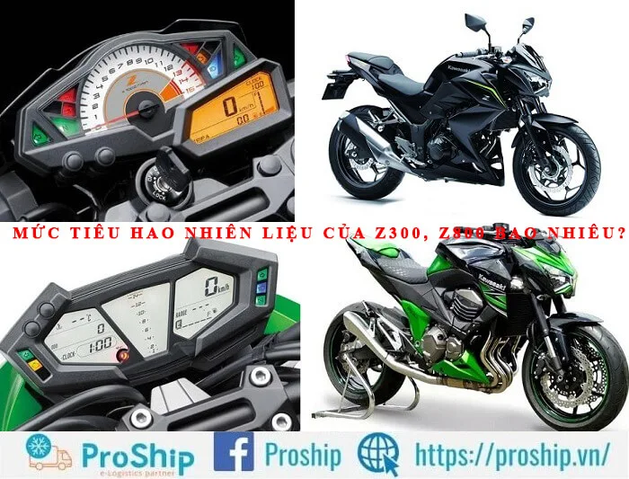 What is the fuel consumption of Z300, Z800, Z900, Z1000?