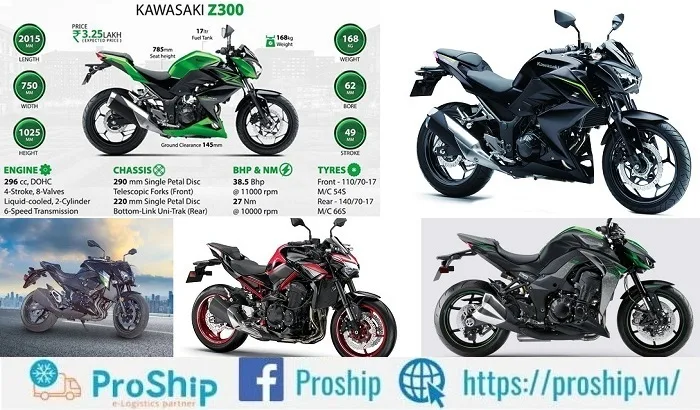 What is the fuel consumption of Z300, Z800, Z900, Z1000?