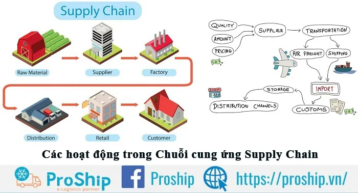 What is Supply Chain? The role and importance of Supply Chain 