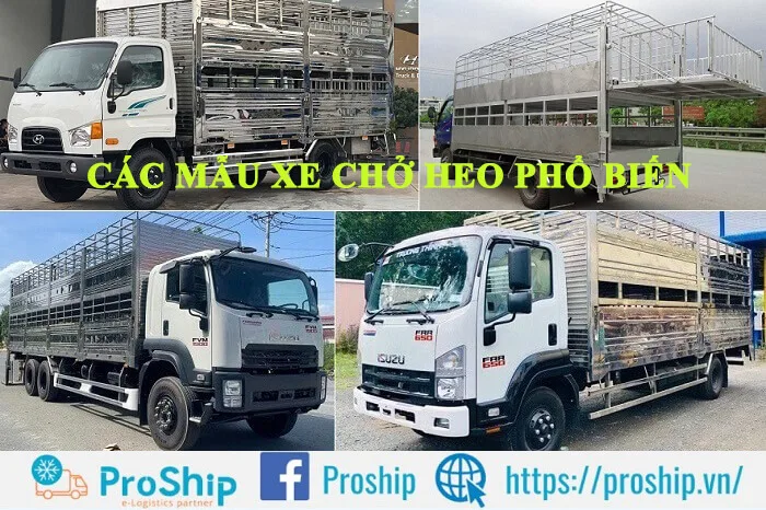 Top 8 most popular specialized pig transport vehicle models of 2024