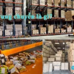 What is a transit warehouse? Notes when using transshipment warehouses 