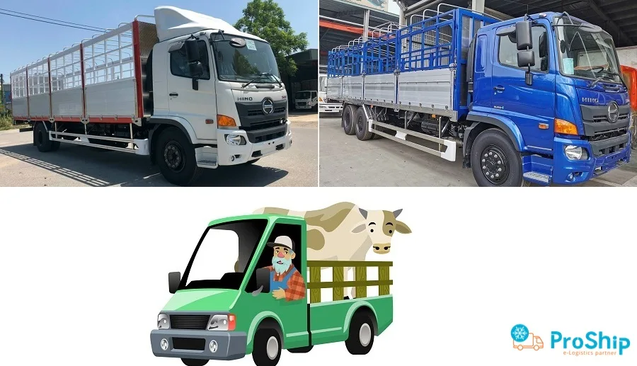 Top 6 safe and most used cow truck models