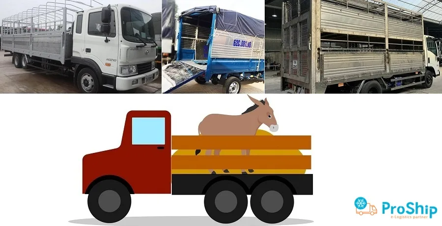 Top 6 safe and most used cow truck models