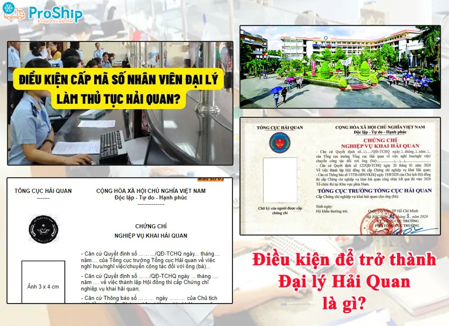 Đại lý hải quan là gì? Có vai trò, nhiệm vụ như thế nào?