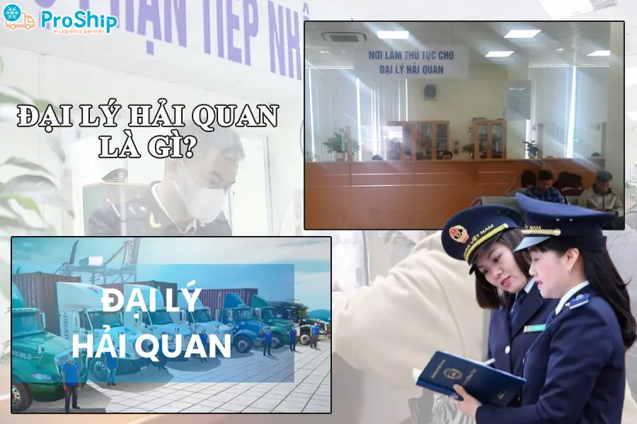 Đại lý hải quan là gì? Có vai trò, nhiệm vụ như thế nào?