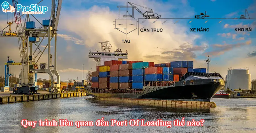 Port Of Discharge là gì? Quy định và vai trò như thế nào?