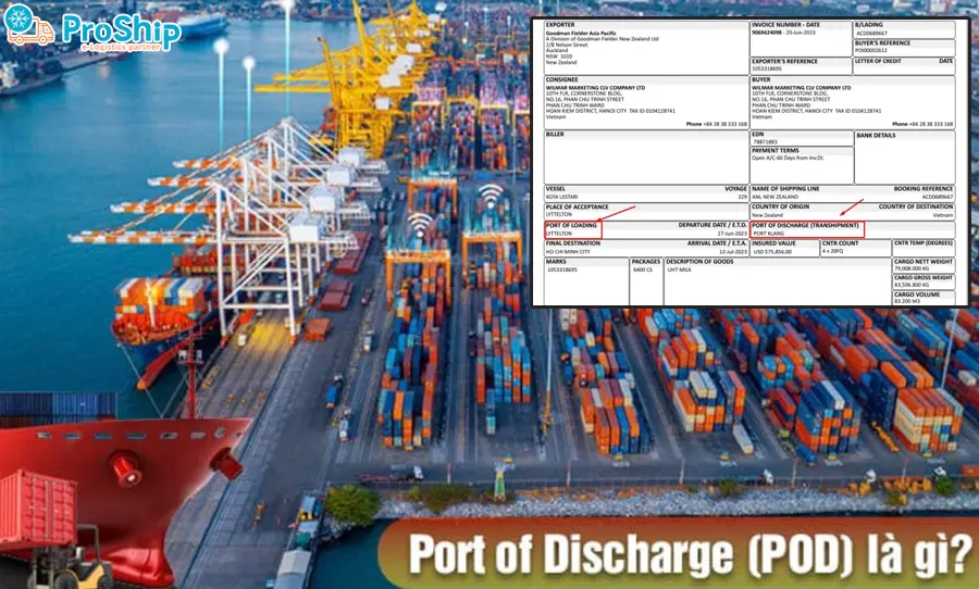 Port Of Discharge là gì? Quy định và vai trò như thế nào?