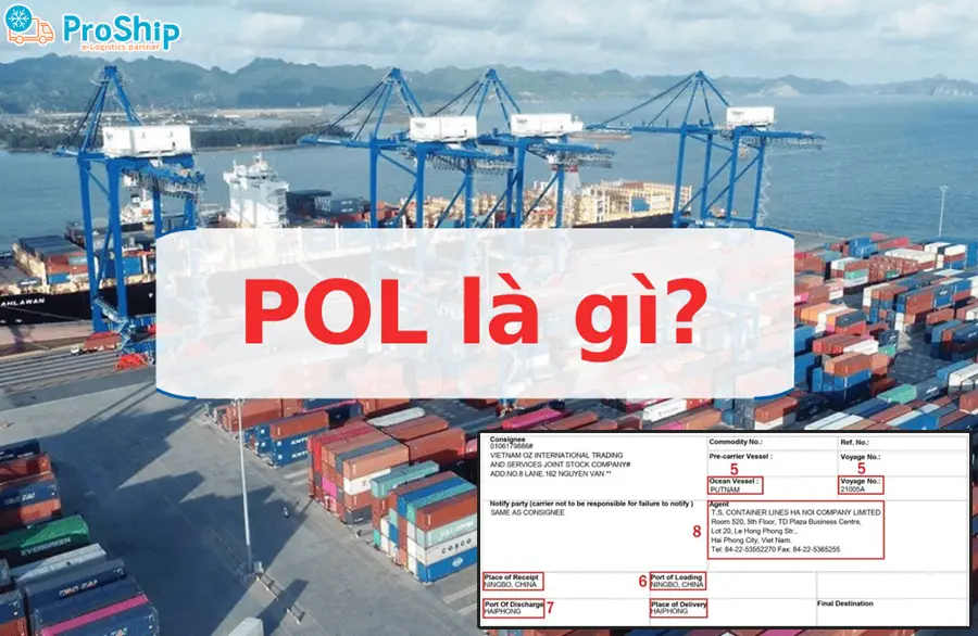 Port of Loading là gì trong XNK? Đóng vai trò như thế nào?