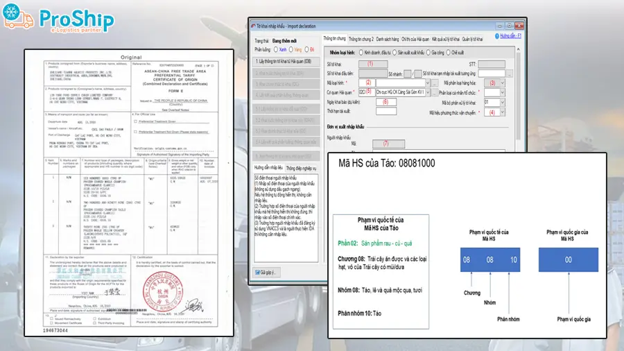 What are customs procedures? Things to know about customs procedures