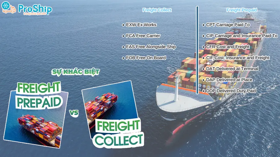 Freight Collect là gì? Phân biệt Freight Prepaid and Freight Collect