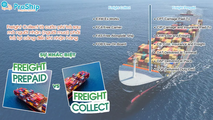 Freight Collect là gì? Phân biệt Freight Prepaid and Freight Collect