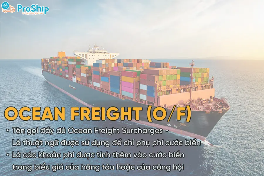 Ocean Freight là phí gì? Cách tính ra sao? Bên nào thanh toán?