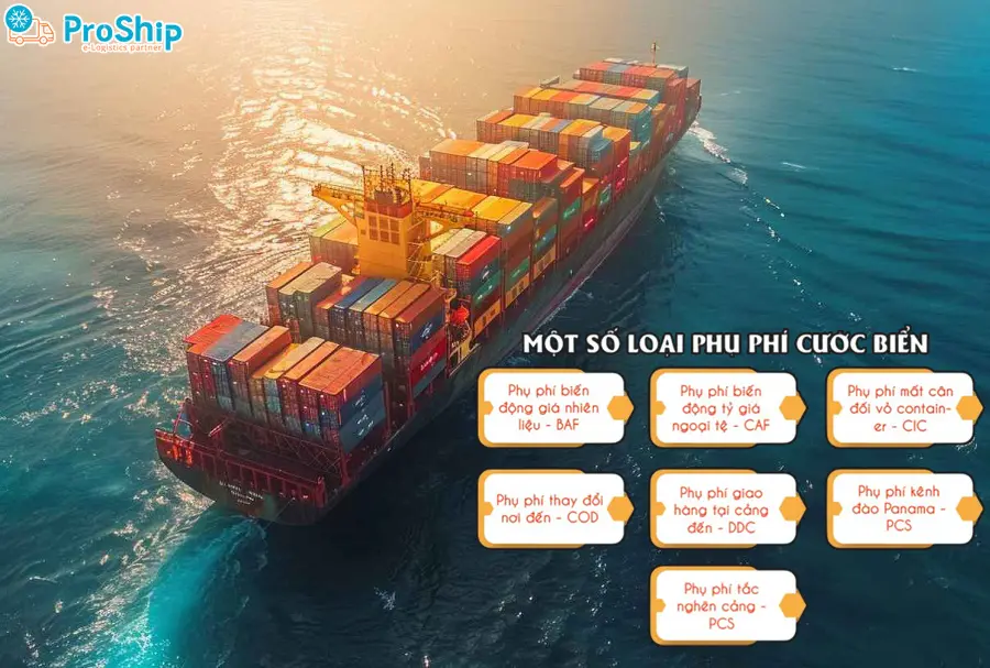 Ocean Freight là phí gì? Cách tính ra sao? Bên nào thanh toán?