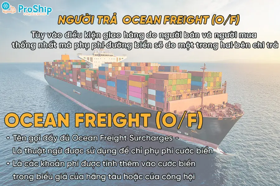 Ocean Freight là phí gì? Cách tính ra sao? Bên nào thanh toán?