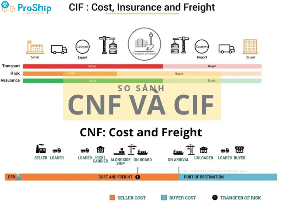 What is CNF price? How are regulations and CNF calculated?