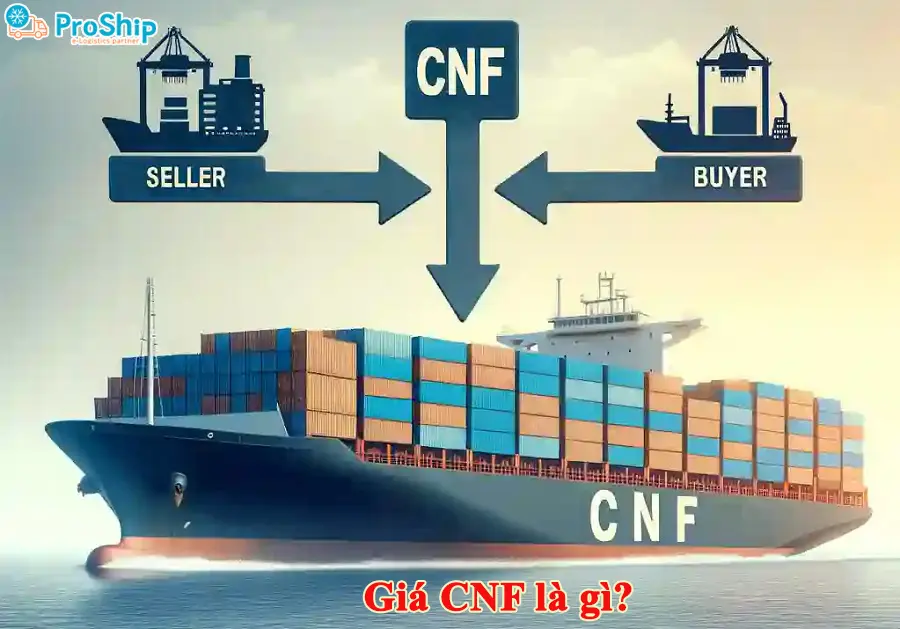 What is CNF price? How are regulations and CNF calculated?