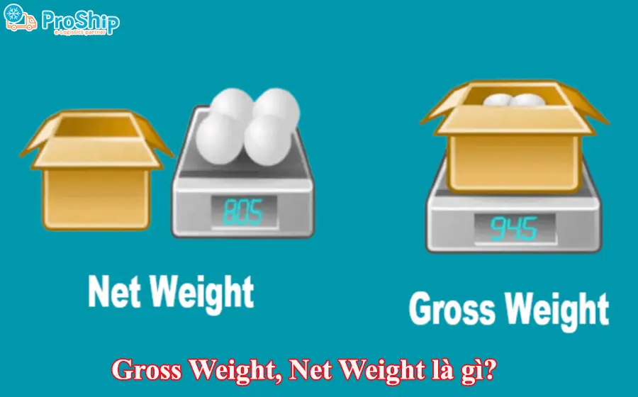 Gross Weight, Net Weight là gì? Giải đáp thông tin từ A-Z