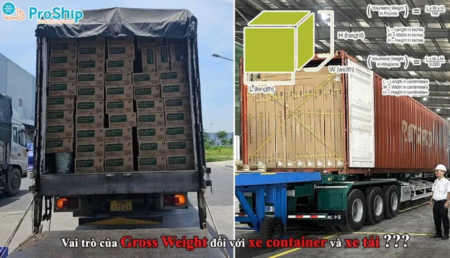 Gross Weight, Net Weight là gì? Giải đáp thông tin từ A-Z