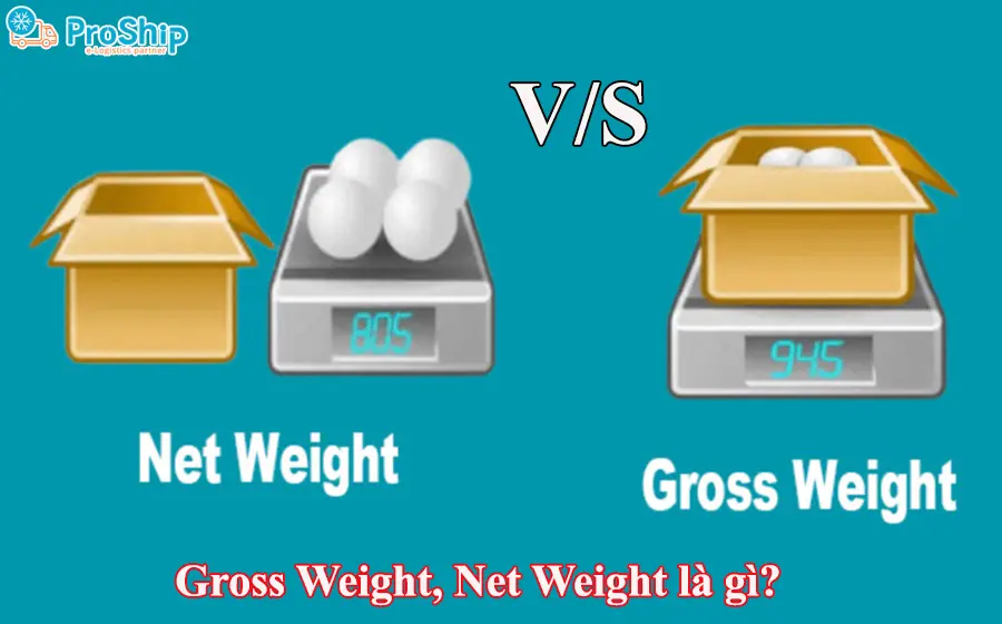 Gross Weight, Net Weight là gì? Giải đáp thông tin từ A-Z