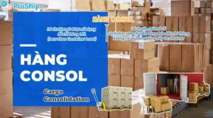 What are Consol products? Information about Consol products