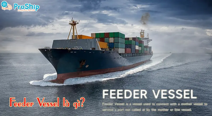 Feeder Vessel là gì? Đóng vai trò như thế nào trong XNK?