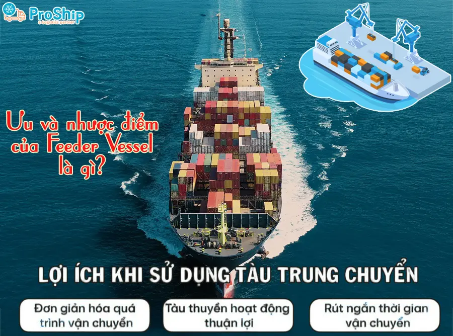 Feeder Vessel là gì? Đóng vai trò như thế nào trong XNK?