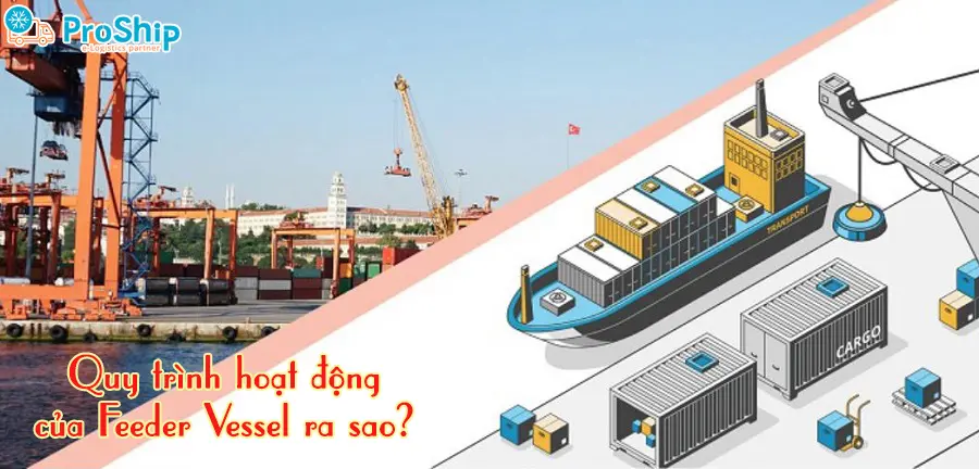 Feeder Vessel là gì? Đóng vai trò như thế nào trong XNK?