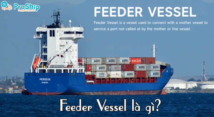 Feeder Vessel là gì? Đóng vai trò như thế nào trong XNK?