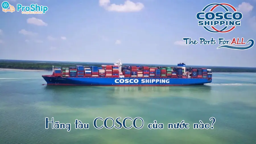 Hãng tàu COSCO của nước nào? Quy mô hãng ra sao?