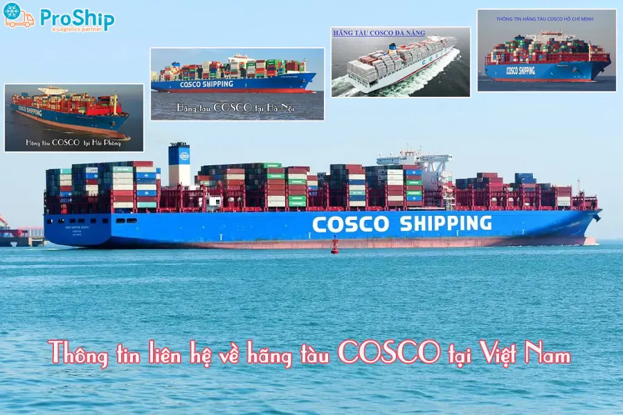 Hãng tàu COSCO của nước nào? Quy mô hãng ra sao?