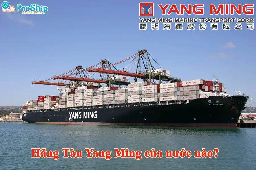 Which country of Yang Ming shipping lines of? Large scale?