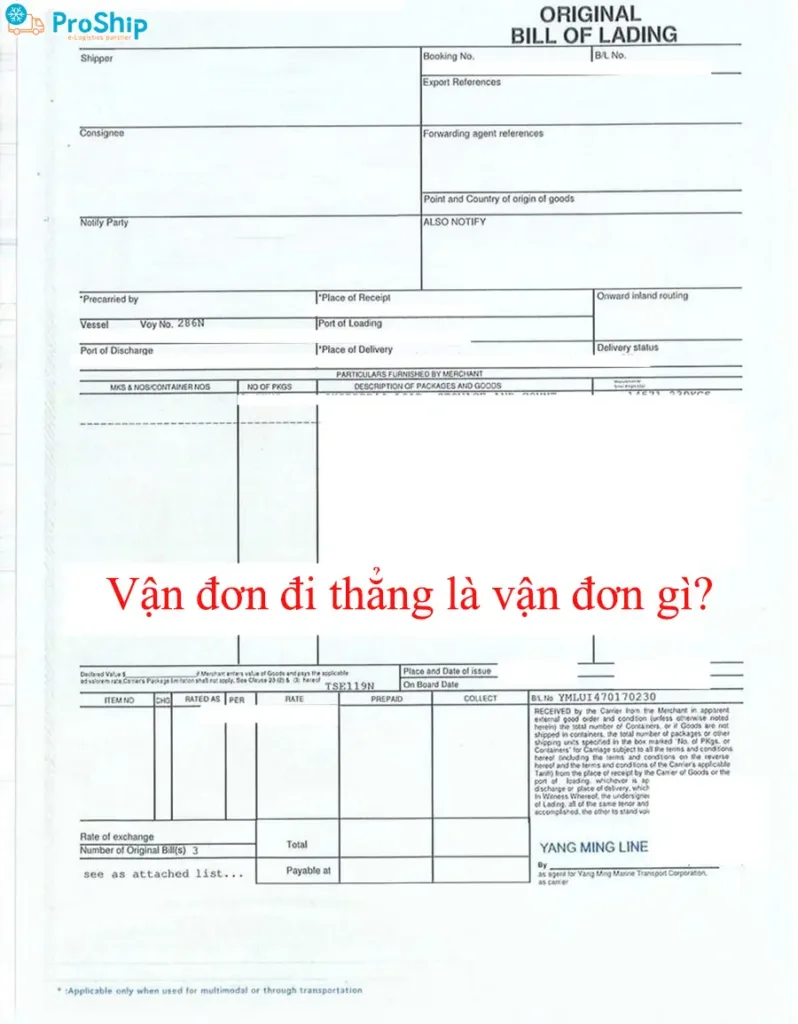 Vận đơn đi thẳng là gì? Được lập ra sao? Có tác dụng gì?