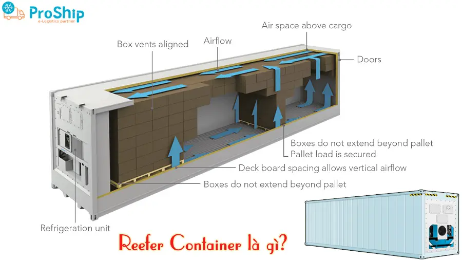 Reefer Container là gì? Ký hiệu và công dụng như thế nào?