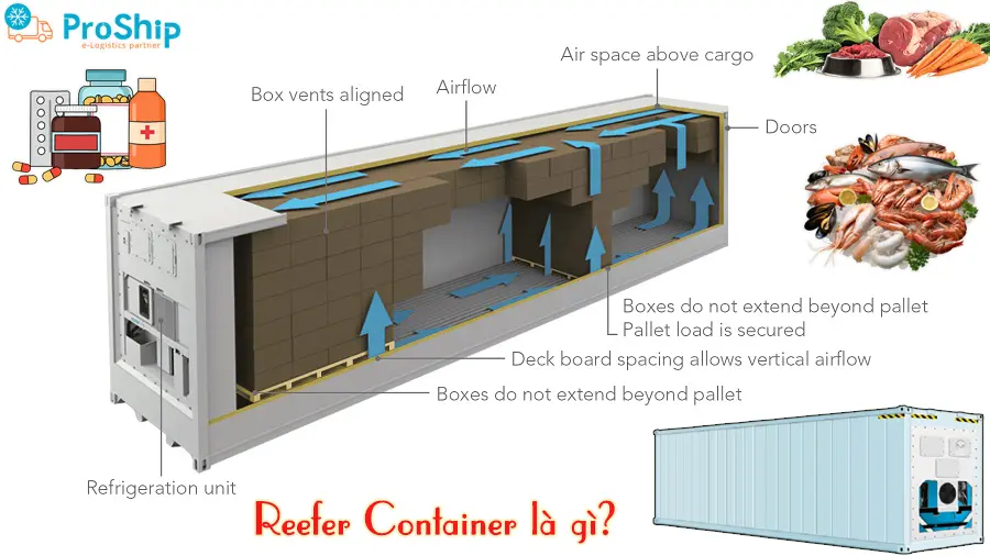 Reefer Container là gì? Ký hiệu và công dụng như thế nào?