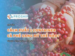 Làm thế nào để xuất khẩu 1 container cà phê từ Việt Nam sang Mỹ?