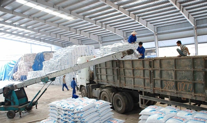 Đưa phân bón đóng bao vào container